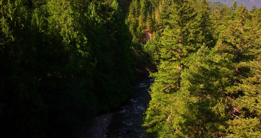 Aerial Views Rivers Flowing through North Cascades Forests