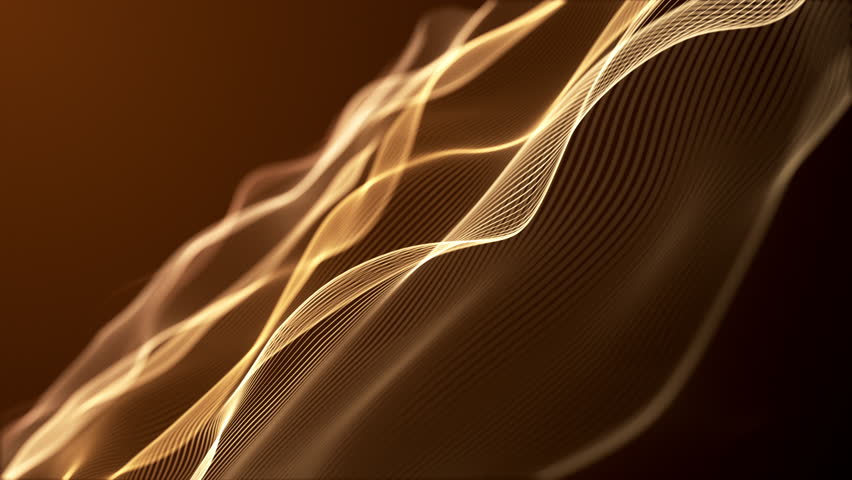 Shutterstock Video