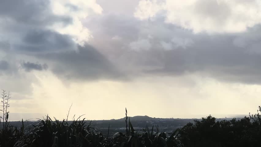 A natural hill park before sunset in Auckland, New Zealand.