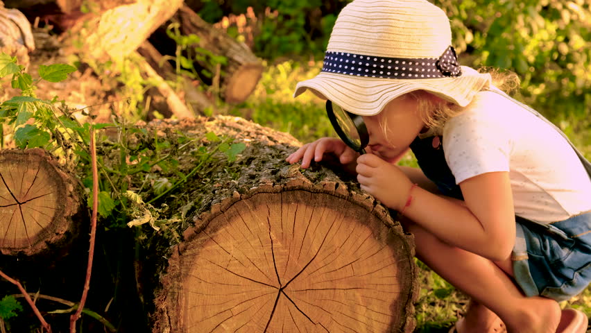 A child looks through a magnifying glass in nature. Selective focus.