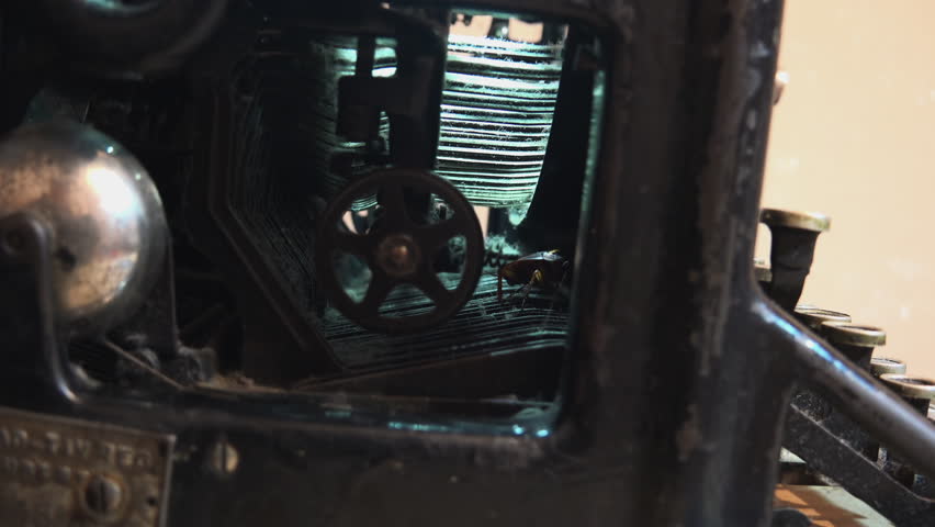 Massive cockroach, Periplaneta americana, hidden in an old and dusty mechanisms, close up