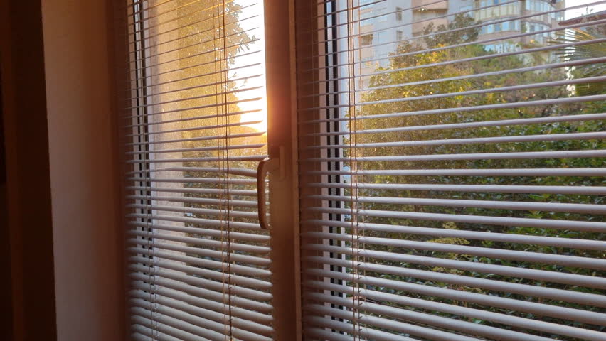 Sunlight streaming through window blinds creates a warm and serene atmosphere, filling the interior with natural light