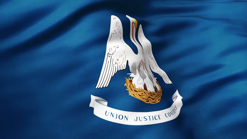Close up view of Louisiana flag video waving in wind. Realistic flag background, fabric textured, perfect loop, official colors, 4K video