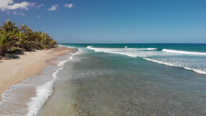 A serene tropical beach at Aguadilla features clear blue water and gentle waves, lined with palm trees under a bright blue sky in the morning.