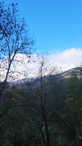 Mountain landscape with blue sky, trees in the foreground