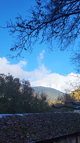 Mountain landscape with blue sky, trees in the foreground