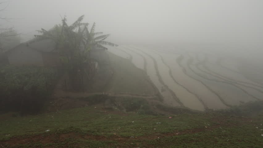 Foggy morning over terraced rice fields with a small hut and banana trees in the mist