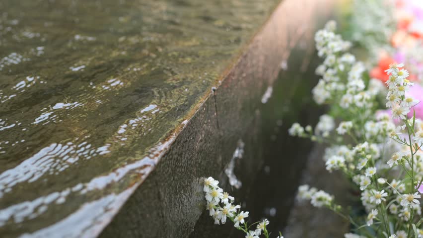 Water cascading down a tiered pond, creating a peaceful, flowing effect. Perfect for garden, landscape, or relaxation projects showcasing natural beauty and tranquility.