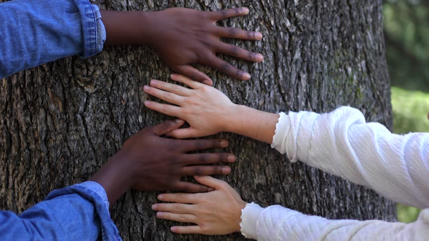 Close-up frontal view of anonymous mixed- raced hands on a tree