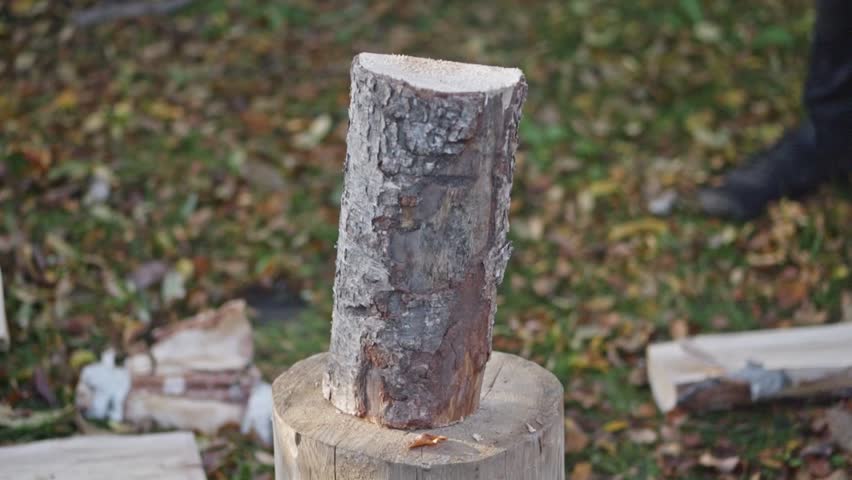 Slow-motion of an axe splitting birch logs, chips flying. Sunny garden, with firewood stacked neatly in the background.