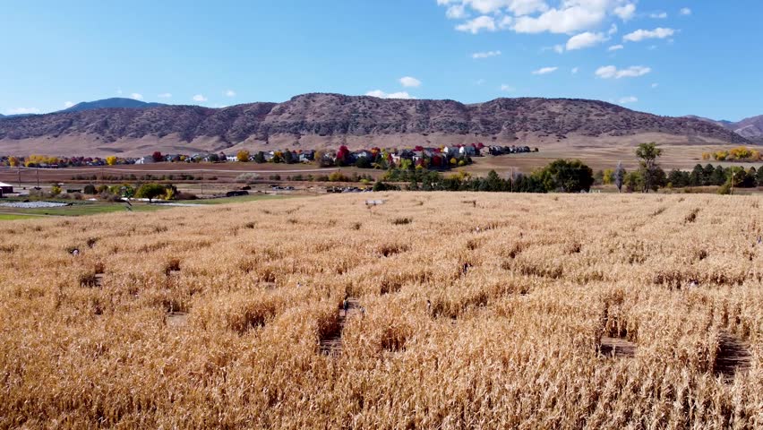 Drone view of Colorado corn maze