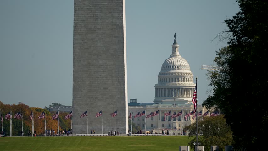 Washington Monument stands tall, with the US Capitol Building in the background. Multiple American flags line the foreground, and people are scattered throughout the scene.