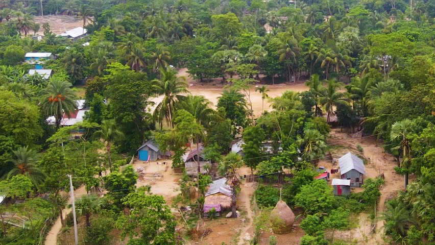 A rural indigenous tribe village deforesting the Amazon rainforest to build houses and huts in the surrounding area.