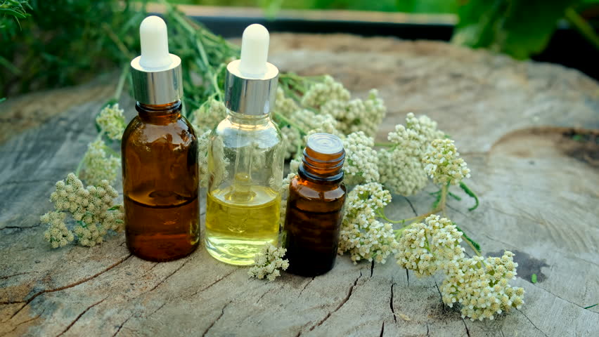Yarrow extract in a bottle. Selective focus.