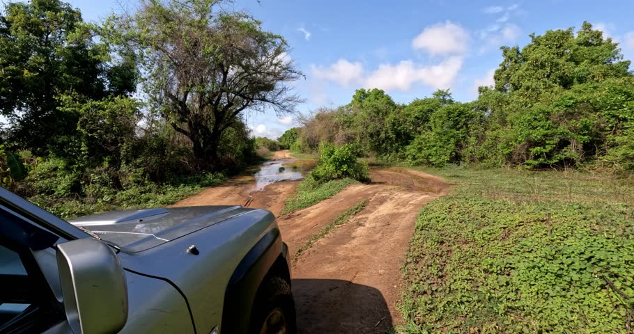4x4 adventure drive in Madagascar. Road from Tsingy de Bemaraha to Morondava. Car partially under water. Wheel close up in muddy road. Off-road vehicle on road after rain in the countryside