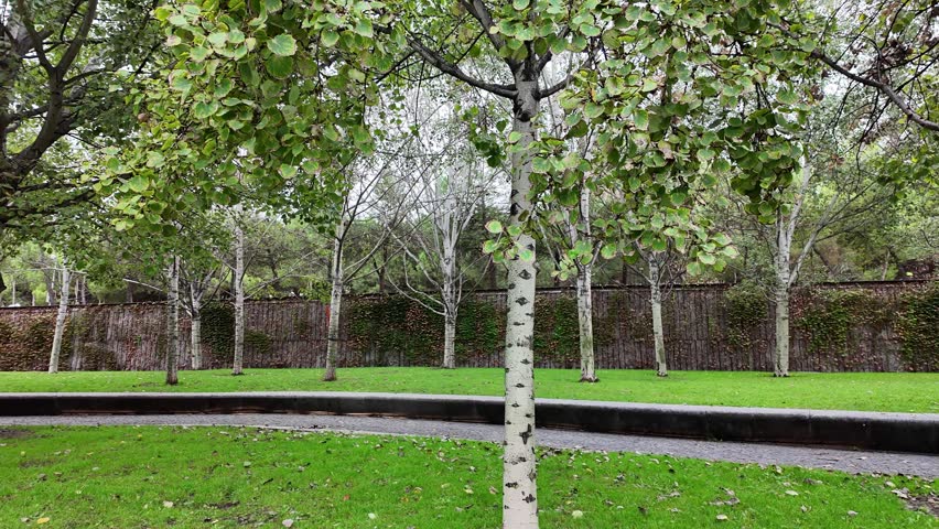 A bee busy pollinating bright spring flowers in a vibrant garden.