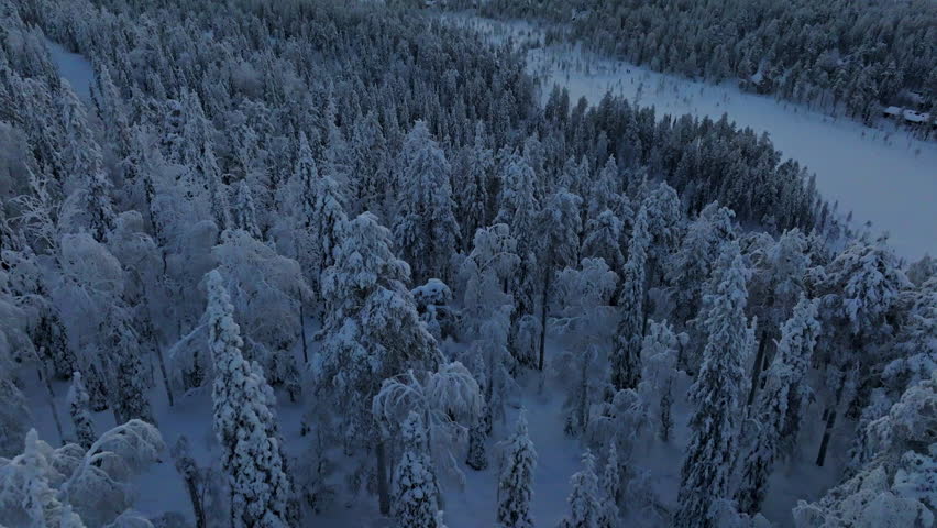 Drone tilting over arctic forest, toward polar night light above fells of Lapland