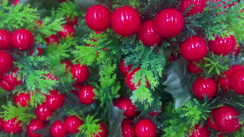 A close-up of holly, with green leaves and bright red berries, makes the perfect Christmas decoration for the 2025 holiday season. Ideal for festive backgrounds