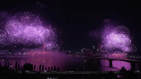 Seoul International Firework Festival at the Yeouido Han River 2024, Colorful Fireworks Exploding in the Night Sky on Both Banks of Wonhyo Bridge - Powered by Shutterstock - Get 15% off with code: PIKWIZARD15