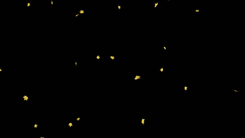 Maple Leaves Falling on Alpha Channel Loop. 3D rendering. Maple leaves falling with alpha channel you can place on footage or background and easier to change colour.
