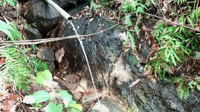 a pipe is used to irrigate a river - Powered by Shutterstock - Get 15% off with code: PIKWIZARD15