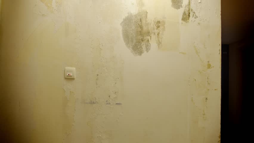 Shot of damps on wall with a switch turned on.