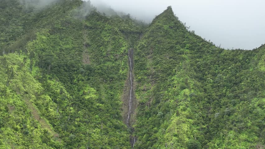 Nestled in the dense, tropical landscape of the Na Pali Coast, is this 300foot waterfall called Hanakapi'ai Falls.