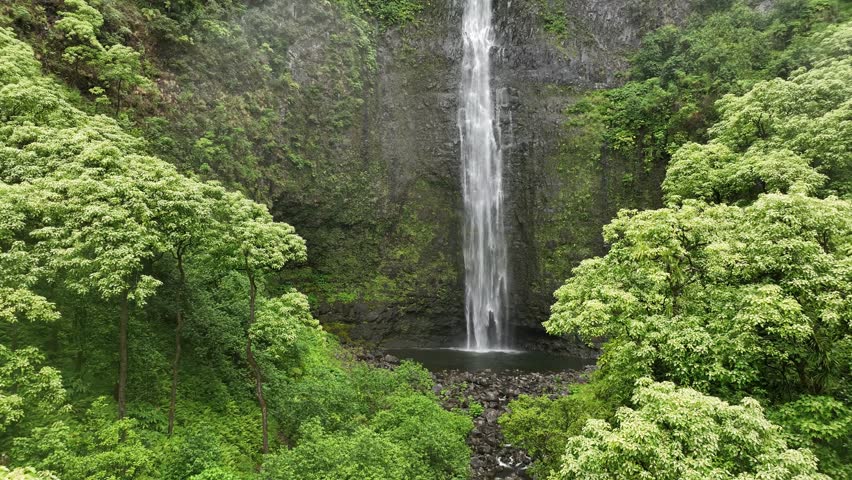 Nestled in the dense, tropical landscape of the Na Pali Coast, is this 300foot waterfall called Hanakapi
