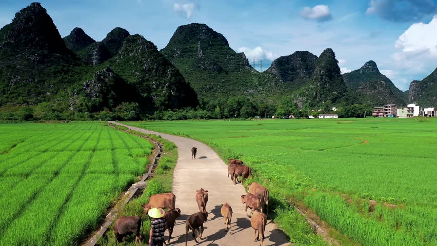 Aerial photography China Guangxi guilin Yangshuo beautiful scenery karst landform