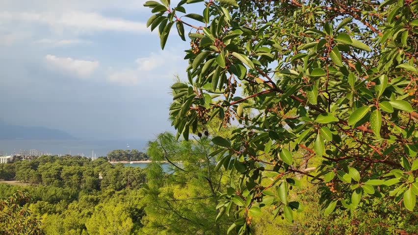 View from above of the city of Kemer against the backdrop of mountains and a rainy sky with clouds.