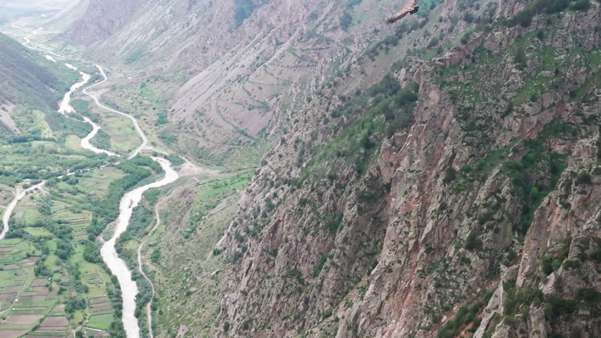 An eagle flies over a mountain gorge