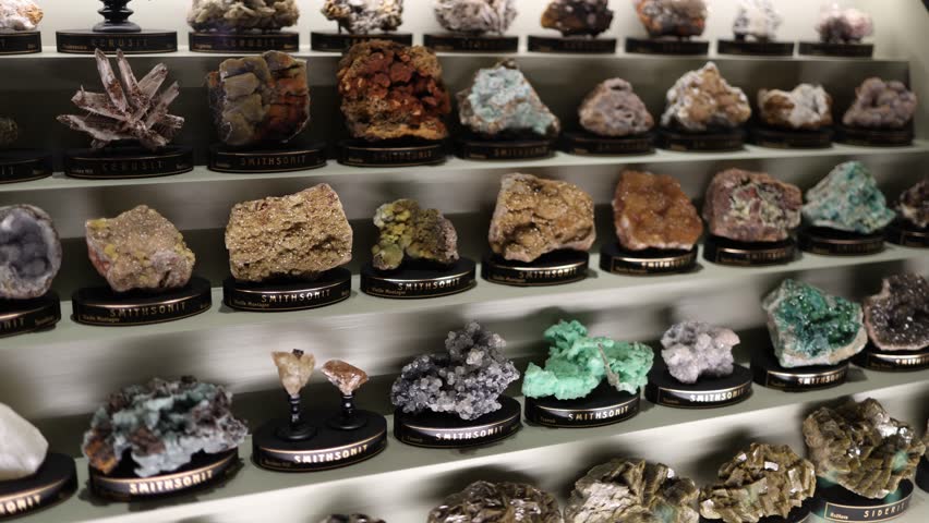 An extensive collection of mineral specimens, primarily cerussite and smithsonite, neatly arranged on display shelves. Each piece showcases unique textures, colors, and formations, inviting admiration