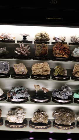 Collection of various mineral specimens, including smithsonite and siderite, neatly displayed in rows within a well-lit glass case, showcasing a diversity of colors and textures. Vertical video