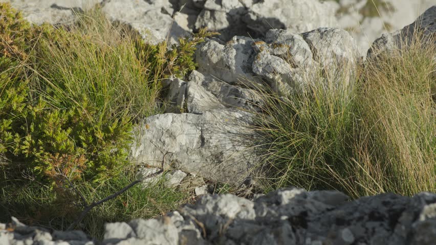 View from the top of the mountain to the autumn valley below.
