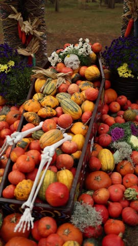A festive Halloween display featuring a decorative coffin filled with colorful pumpkins, gourds, and flowers, adorned with a skull and skeletal arms, celebrating autumn and the spooky season. Vertical
