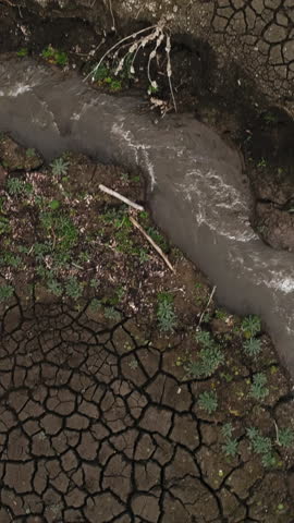 Running stream among stones and dry bushes in the botanic garden. Shot. Aerial top view of a fast flowing mountainous river flowing along dry soil.
