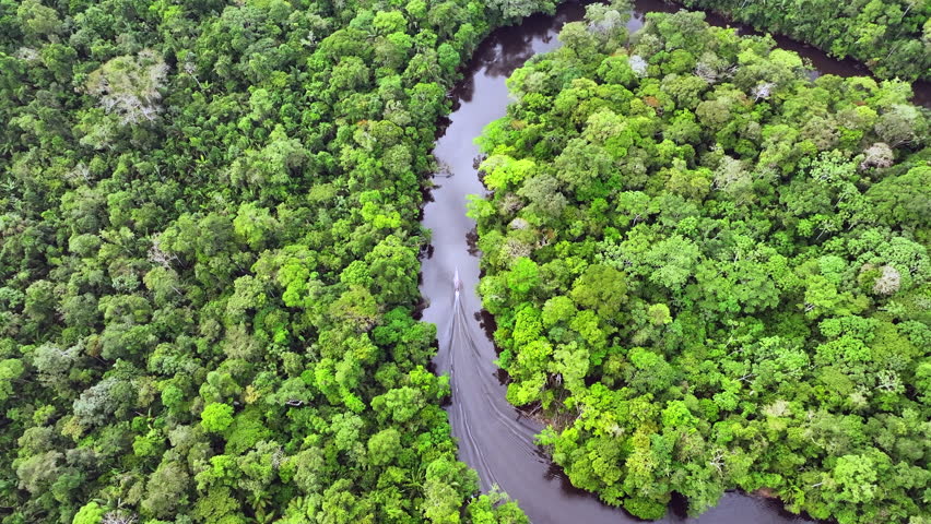 Aerial shot above canoe cruising a curvy river in the Cuyabeno wildlfe reserve Ecuador - Amazonian rainforest