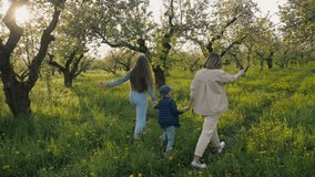 A family holding hands walks through a green apple orchard in spring, surrounded by blooming trees and vibrant grass. Sunlight filters through the branches - Powered by Shutterstock - Get 15% off with code: PIKWIZARD15