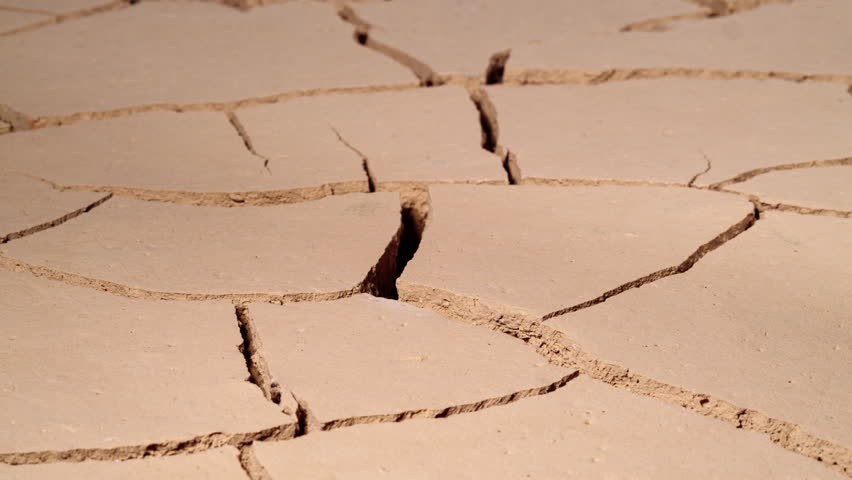 Desert Growth, Seed Growing out of Cracked Soil. Drought Concept: Dry Soil with Green Plant. Climate Change, Environmental Disaster, Death Plants, Desertification