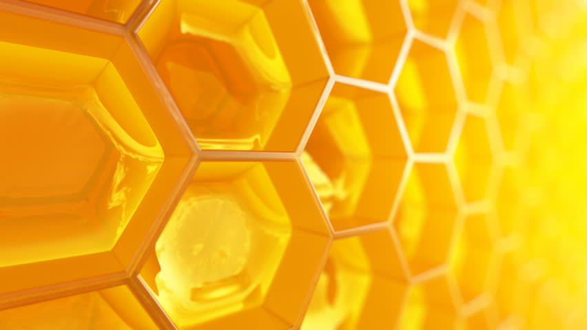 Animation of Fragment of Honeycomb Stock Footage Video (100% Royalty