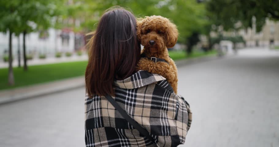 Rear view of a happy brunette girl in a plaid shirt walks along the park and carries a brown dog with curly hair in her arms during her walk in the city