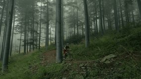 Aerial view of professional mountain biker going downhill on a forest trail.extreme sport mtb. Mountain biking action footage. Mtb riding a downhill bike along trail in the mountai. - Powered by Shutterstock - Get 15% off with code: PIKWIZARD15