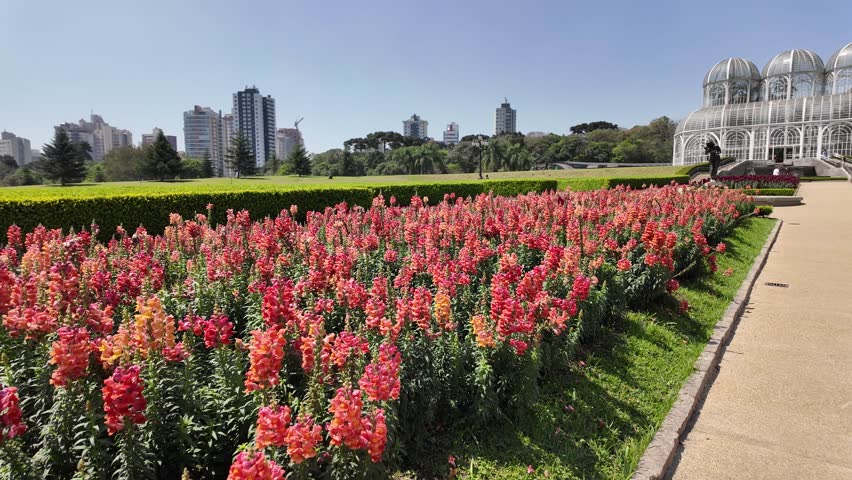 Botany Garden At Curitiba Parana Brazil. Bird Eye View Of Stunning Iconic Recreational Park Of The City. Metropolitan Landscape Company Building Stunning. Metropolitan Urban. Curitiba Parana.
