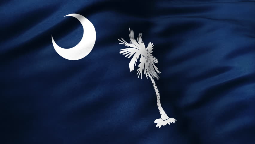 Close up view of South Carolina flag video waving in wind. Realistic flag background, fabric textured, perfect loop, official colors, 4K video