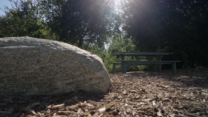 picnic table in wilderness park next to trees and large rock low tracking shot