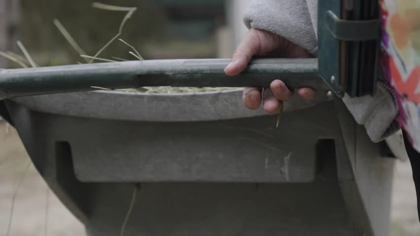 Slow motion shot of a woman pulling a straw trough through the pasture