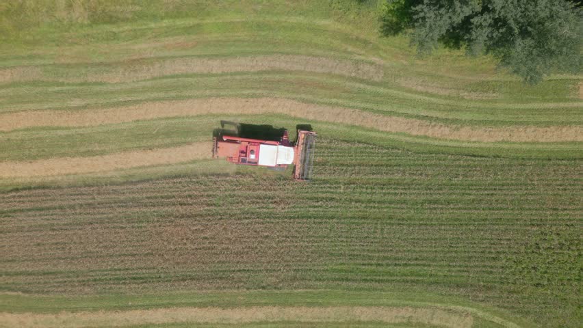 A drone footage of a Combine farmer harvesting  Wheat Spelt Forest Field in Switzerland