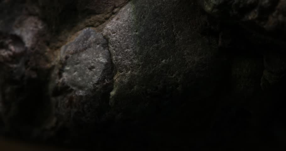 Textured Close-up of Dark Basalt Rock Surface