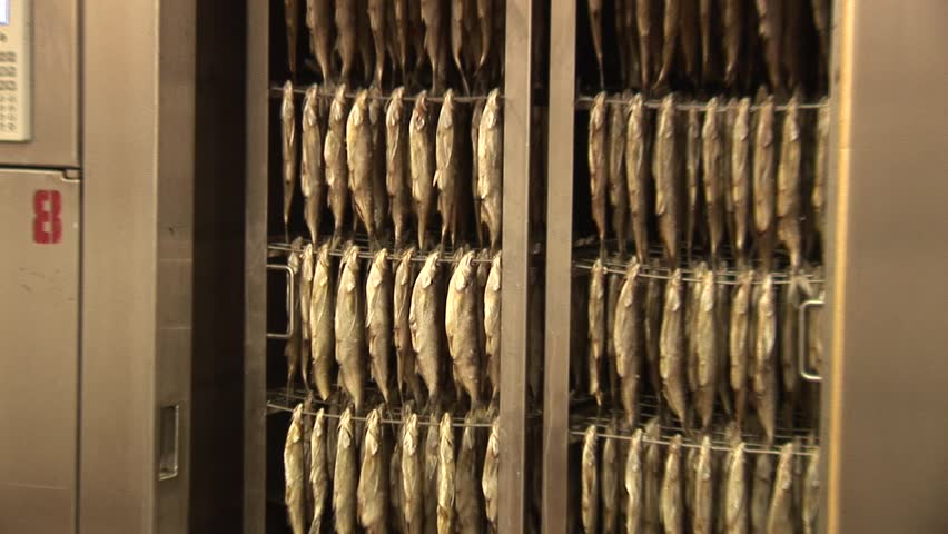 Fish processing plant. Fish of cold (hot) smoked