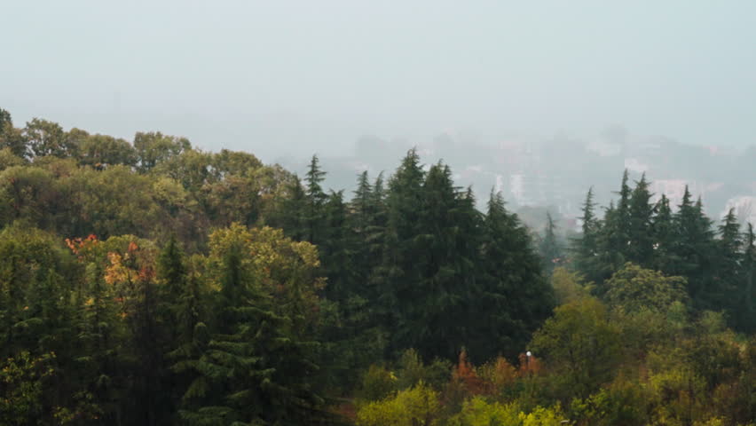 Rain enhances tranquility and natural beauty of woodland scenery. Blurred serene view of rainy forest landscape autumn outside window with trees and mist, creating peaceful, atmospheric mood
